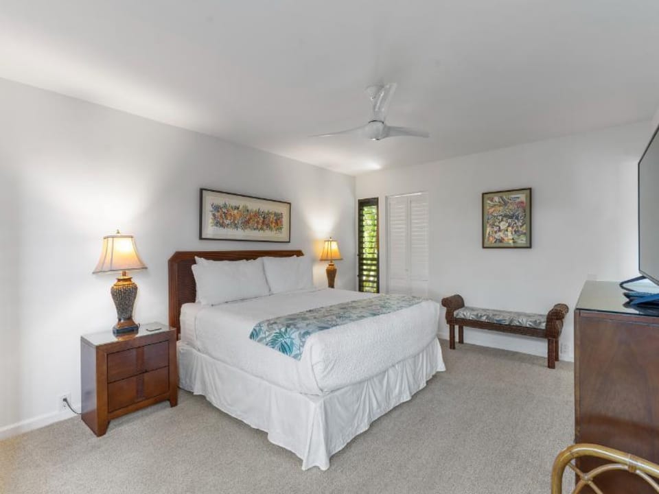 Ceiling Fan
