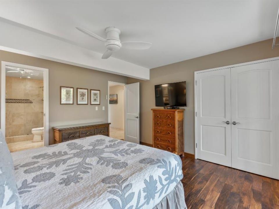 Ceiling Fan