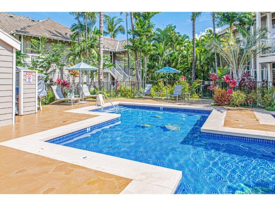 Resort