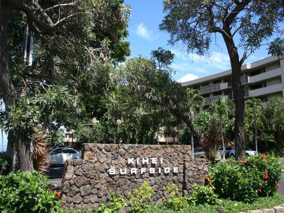 Vegetation