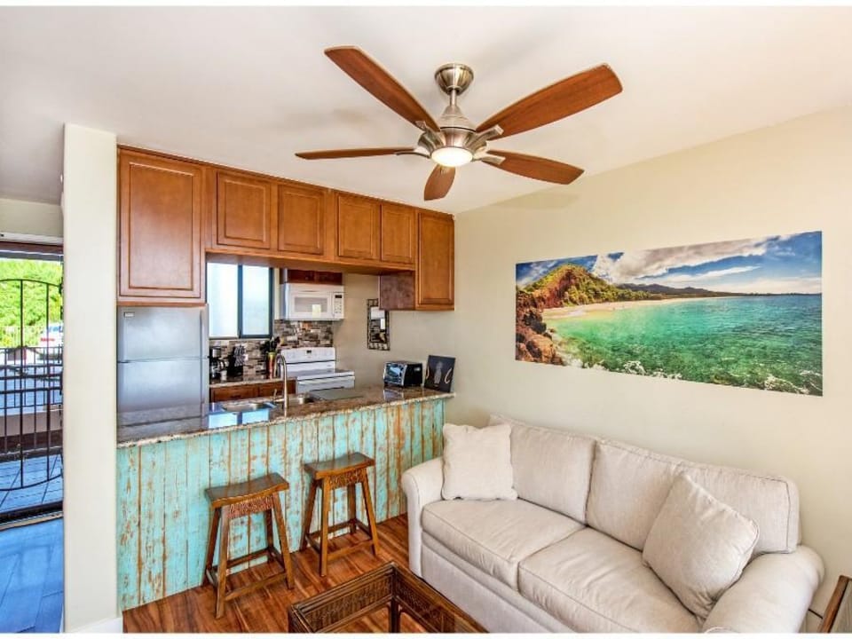 Ceiling Fan