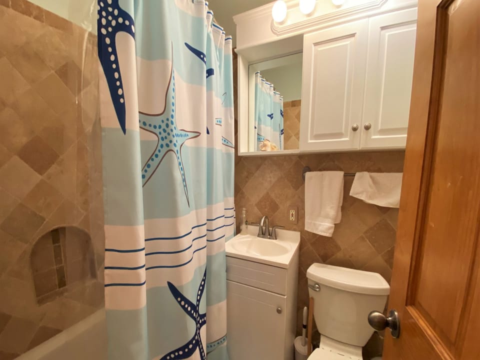 Sink Faucet