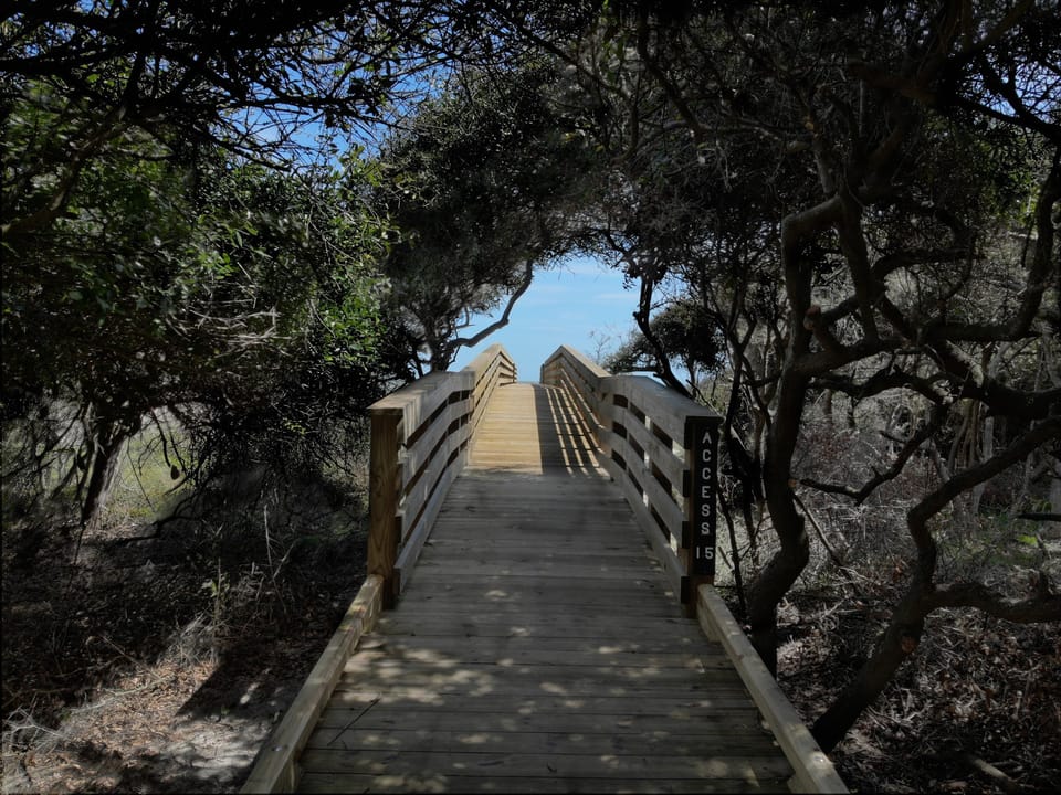 Boardwalk