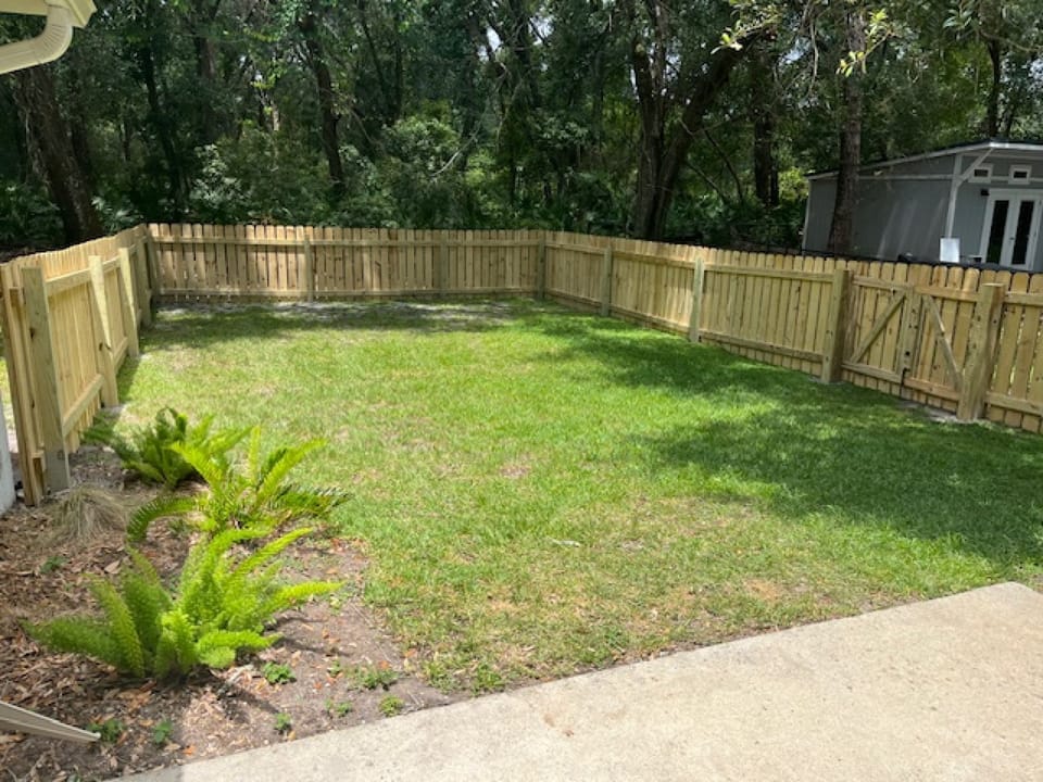 Backyard