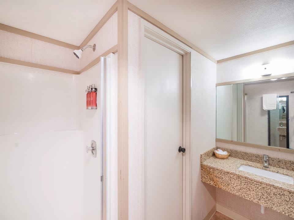 Bathroom Vanity and Shower