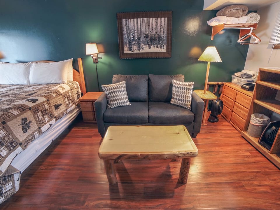 Twin Sleeper Sofa