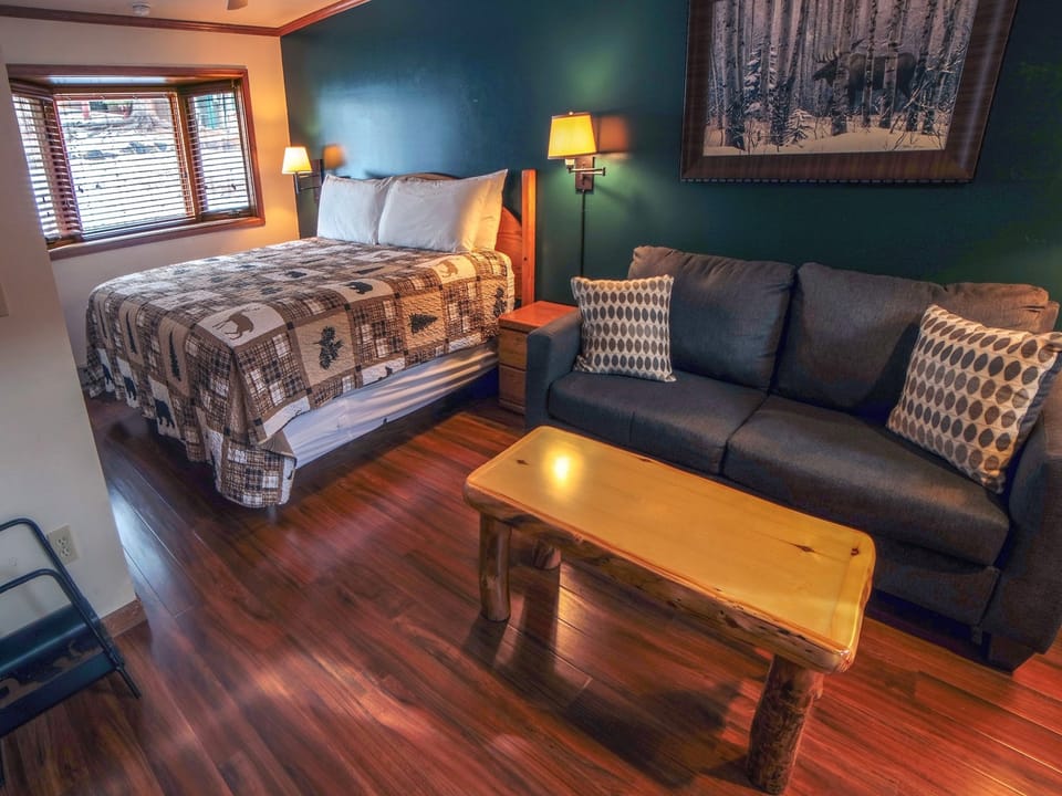 Twin Sleeper Sofa
