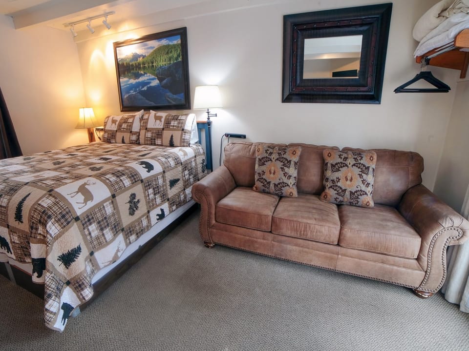 Full Sleeper Sofa