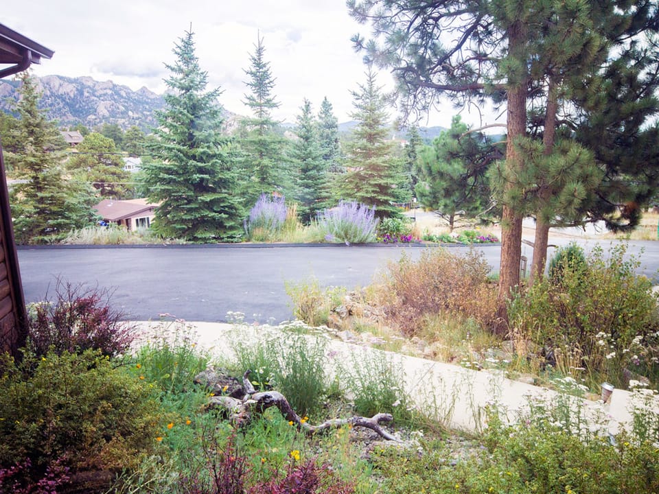 View from Entrance