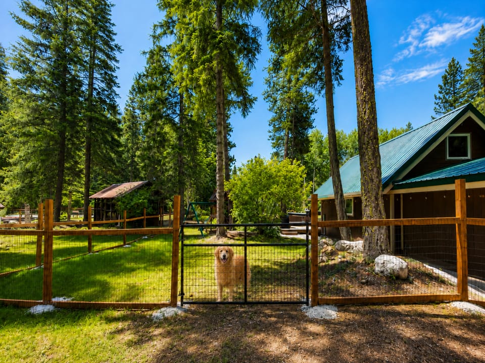 Newly Fenced Yard for the puppers.