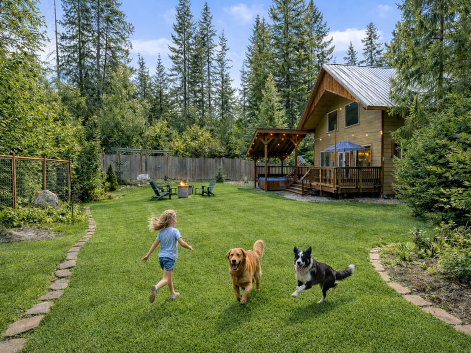 Mountain retreat with spacious backyard where children and pets play freely on lush green lawn surrounded by towering evergreens.