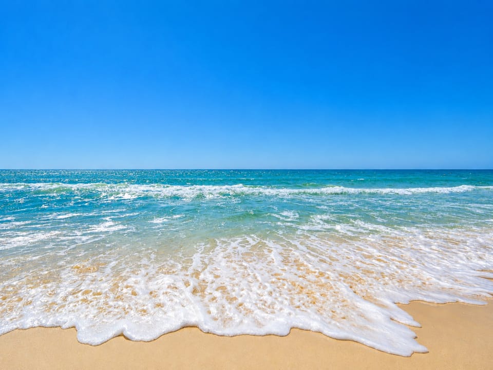 Bask in the sunlight with this view from Royal Palms of soft sand, gentle waves, and a picturesque pier in the distance