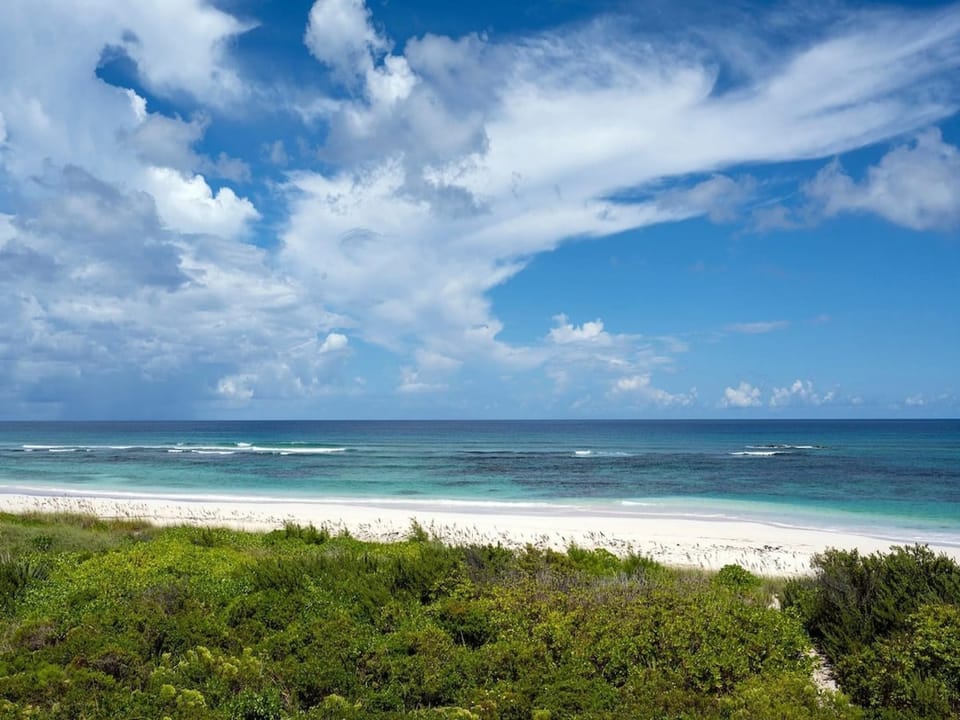 View of the beach from the house.