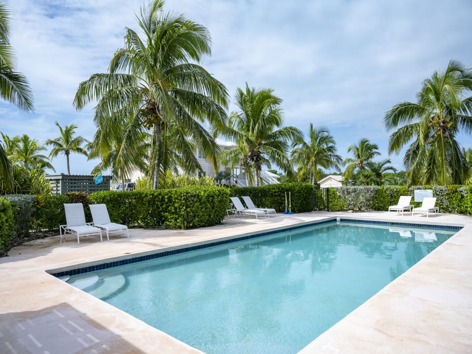 Our heated 40' x 20' pool. We also have kayaks, paddle board, bikes, golf carts, mini-gym, and fast free internet!
