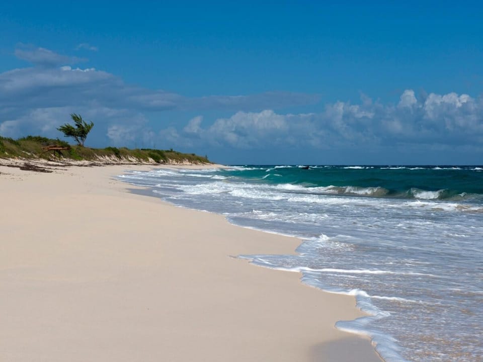 Buttonwood Reserve beach