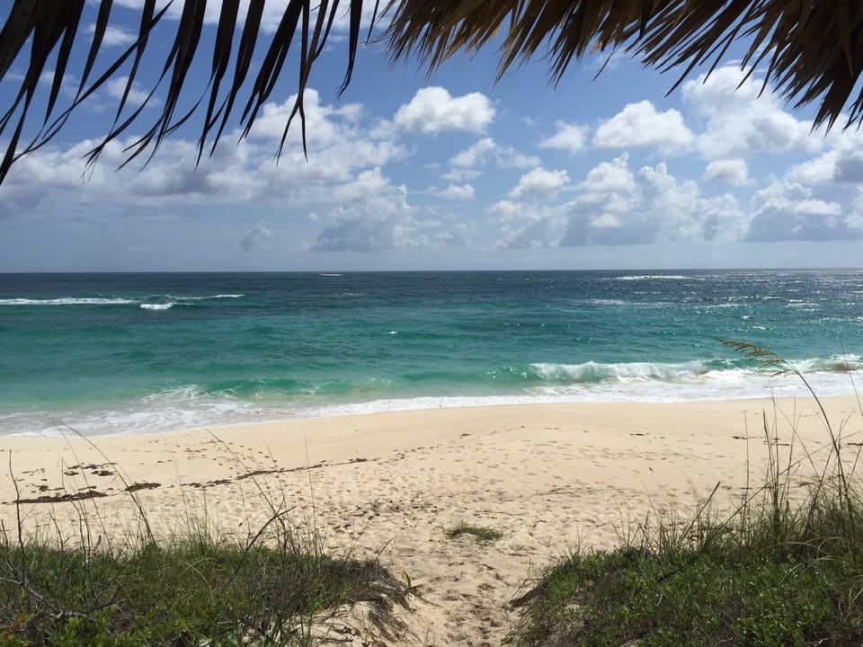A thatched palapa provides shade on our beach.