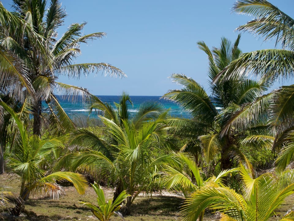 Grounds and view of Atlantic Ocean