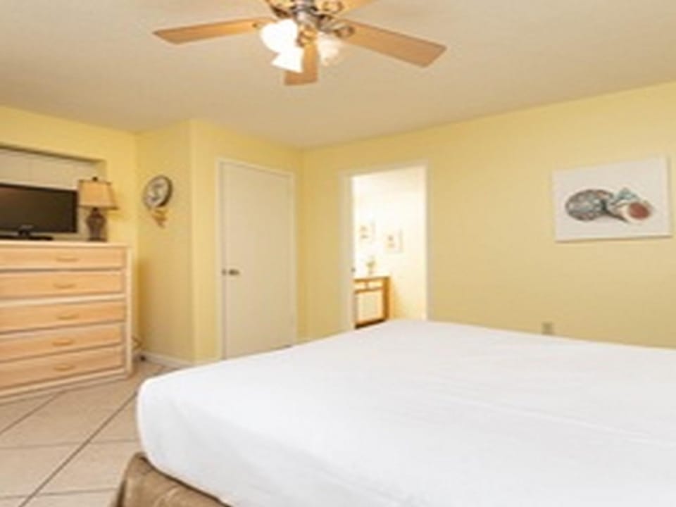Ceiling Fan