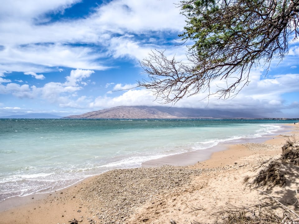 Maui Sunset beachfront property~ a short walk to the beach!