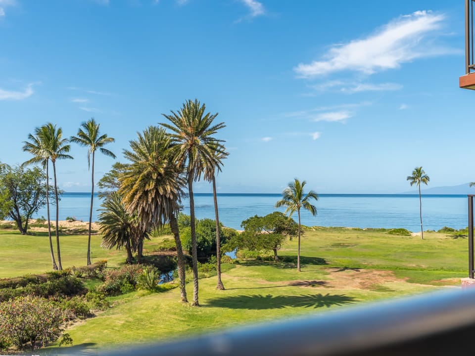 The property is lined with lots of palm trees