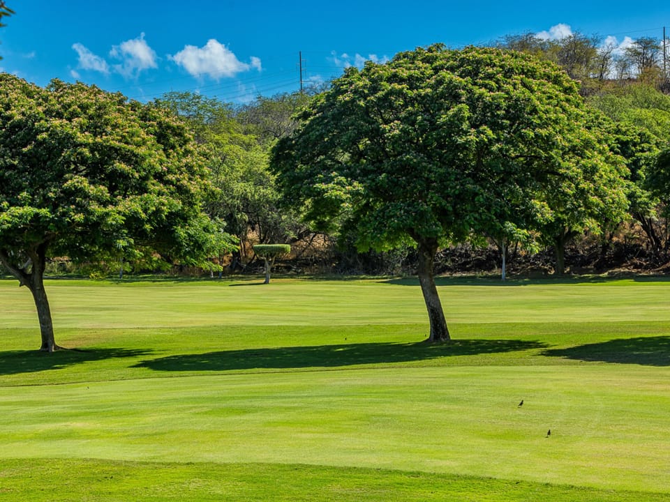 Golf course nearby