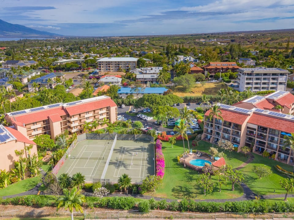Overview of Maui Vista property
