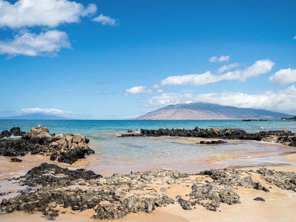 Snorkeling~ swimming~ and whale watching during season