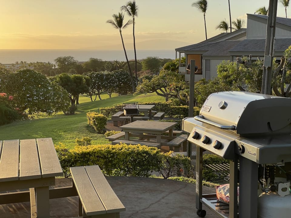 Propane Grills for guest use throughout property