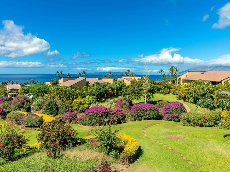 Tropical views