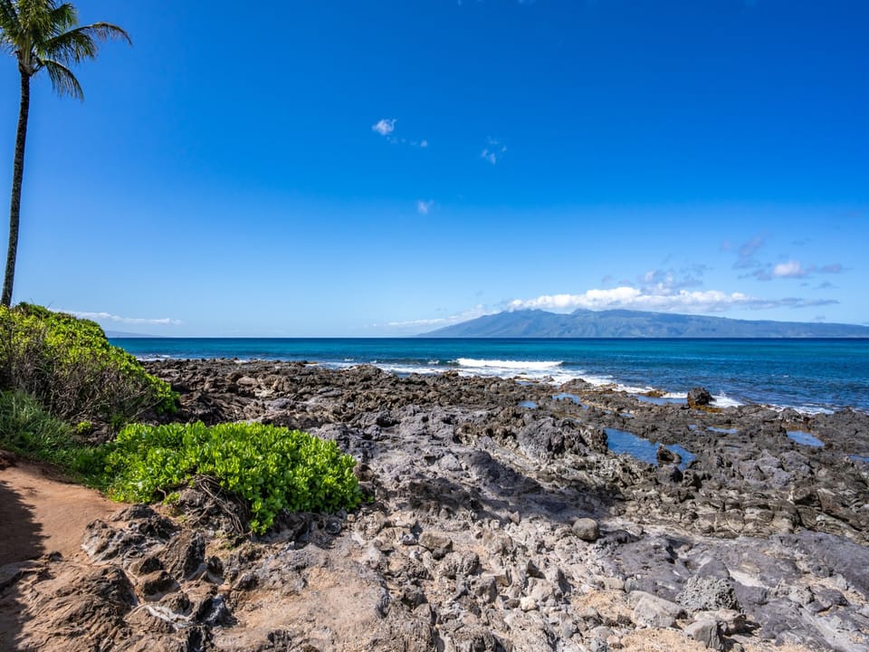 The resort was designed to capture the fun of Maui!