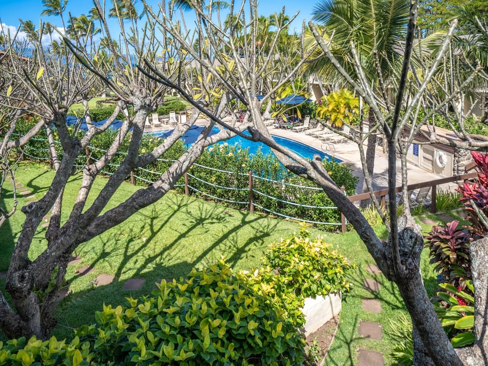 Pool for your enjoyment