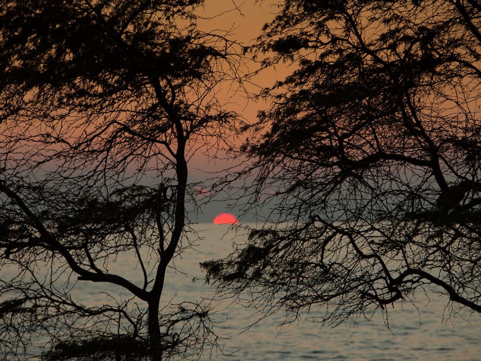 A natural frame for Maui’s breathtaking sunsets