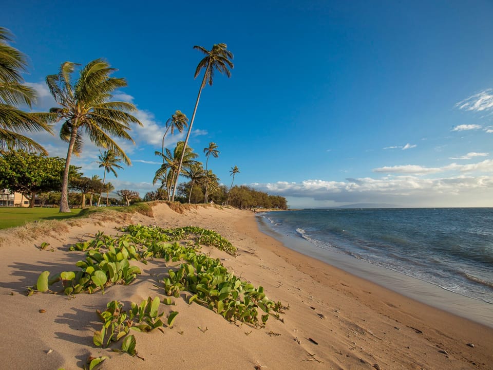 Mai Poina Beach Park is about a half