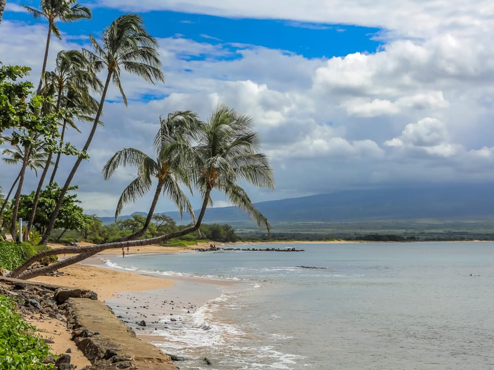 Relaxation from the beach!