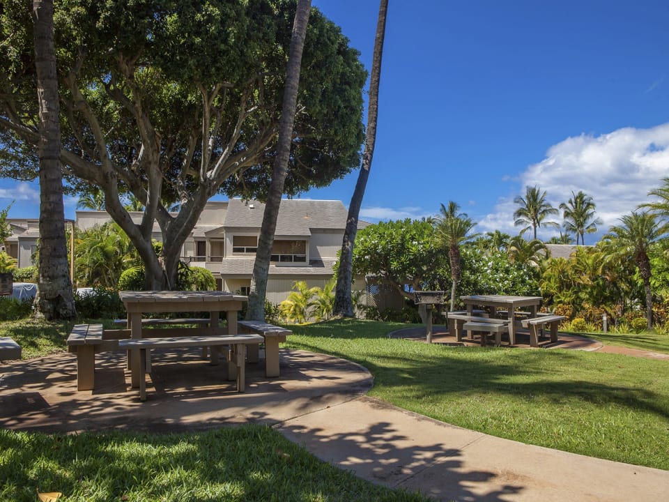 Picnic Area