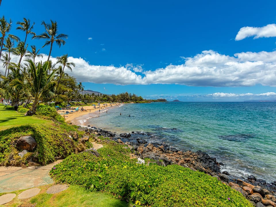 Reef area is ideal for snorkeling