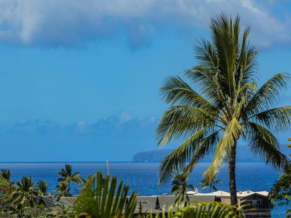 Enjoy the views from Maui