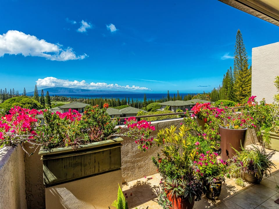 Aloha from the lanai!