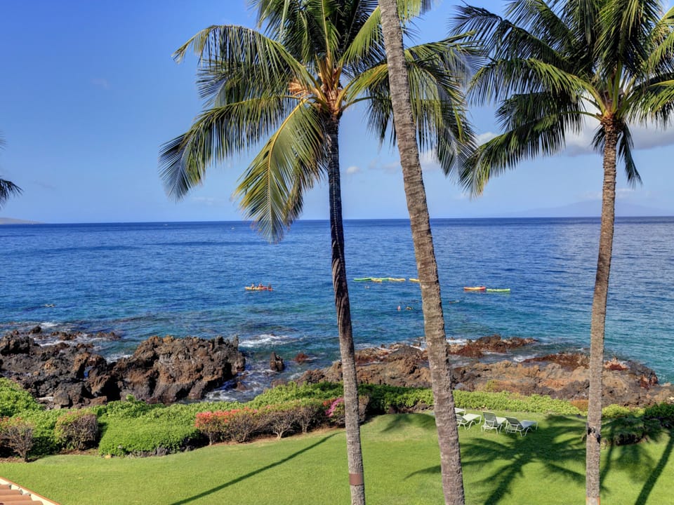 Watch for the Honu (turtles)