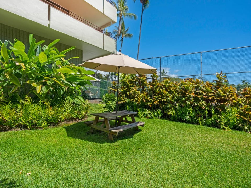 Grassy area