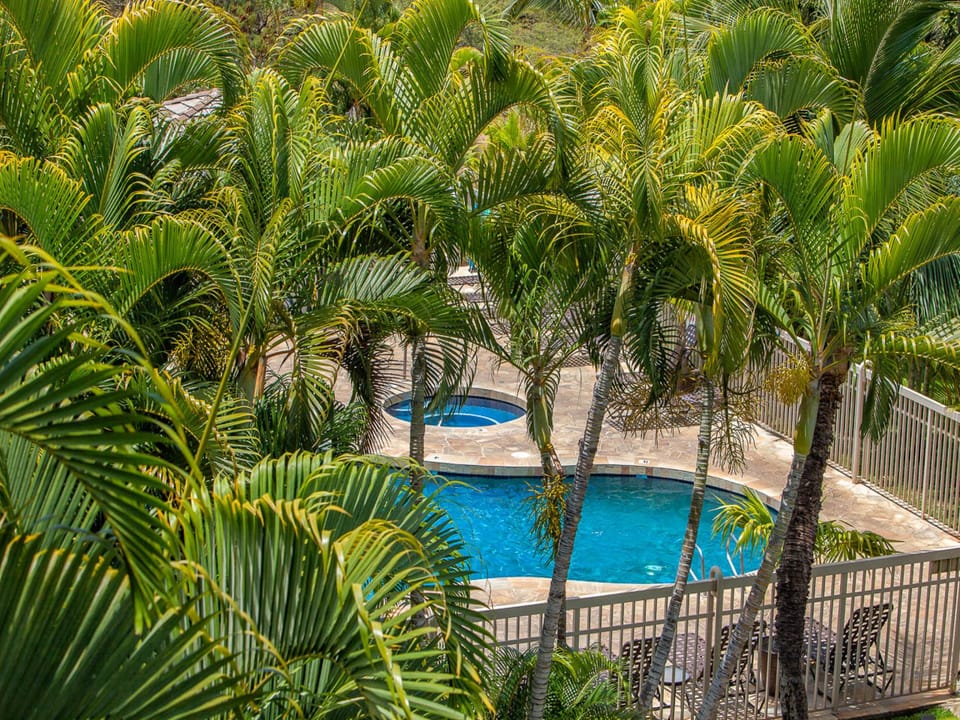 A tropical canopy frames the sparkling pool and hot tub below
