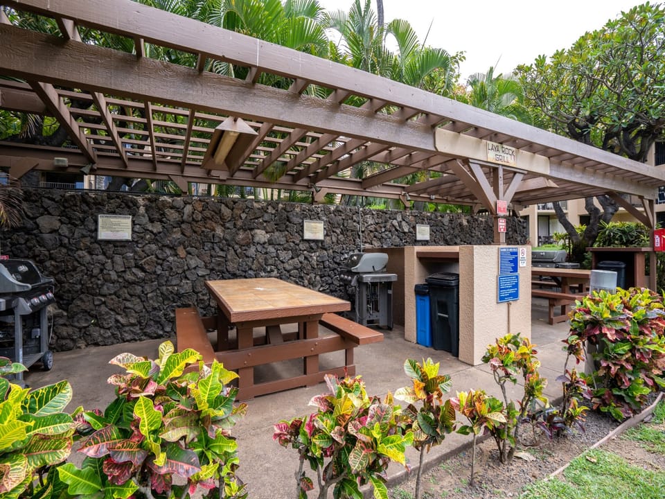 Enjoy the multiple BBQ grill on property