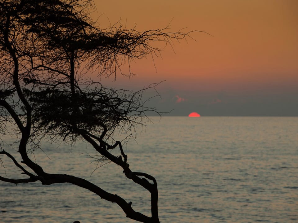 Gorgeous Maui sunset