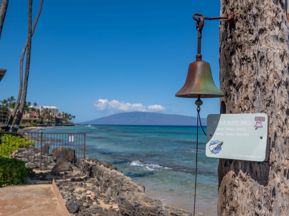 Walk only a few steps to an amazing ocean with mountain views