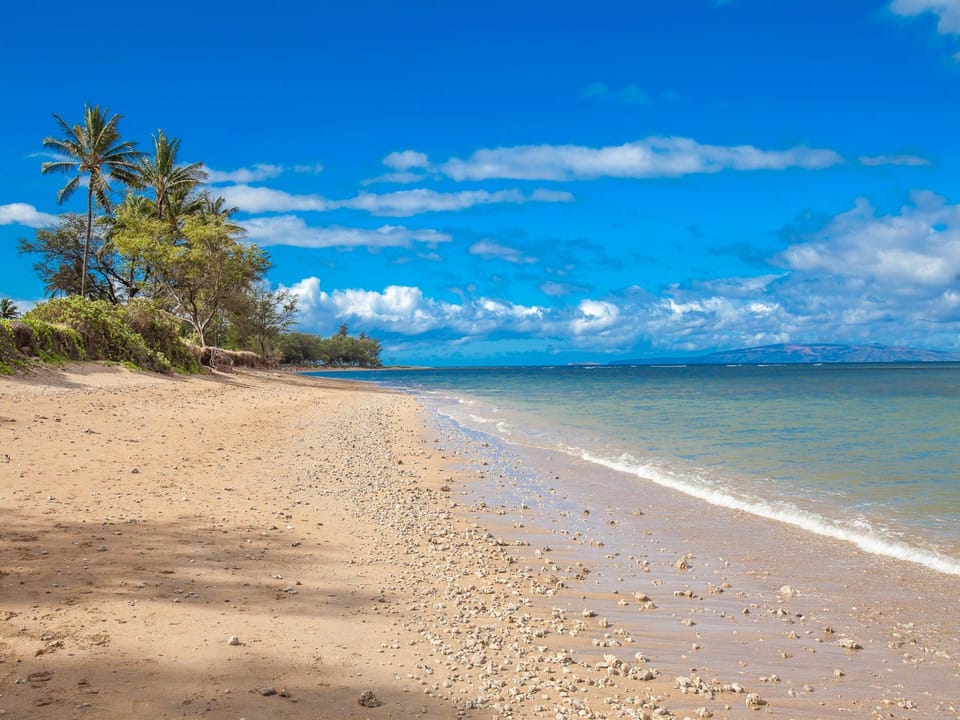 Enjoy the salty air!