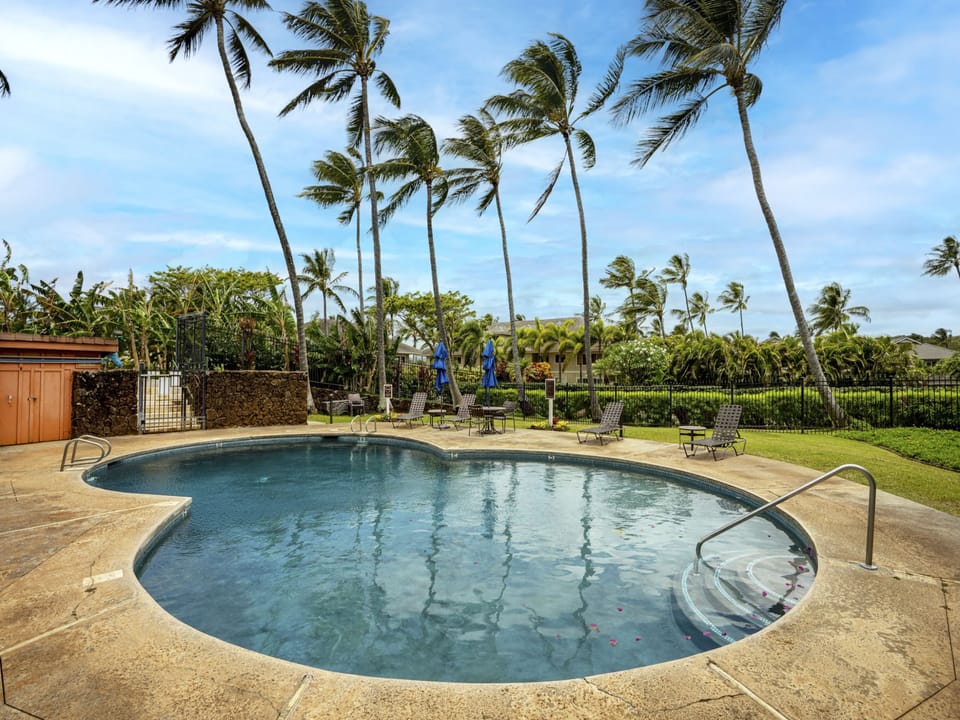 Manualoha pool