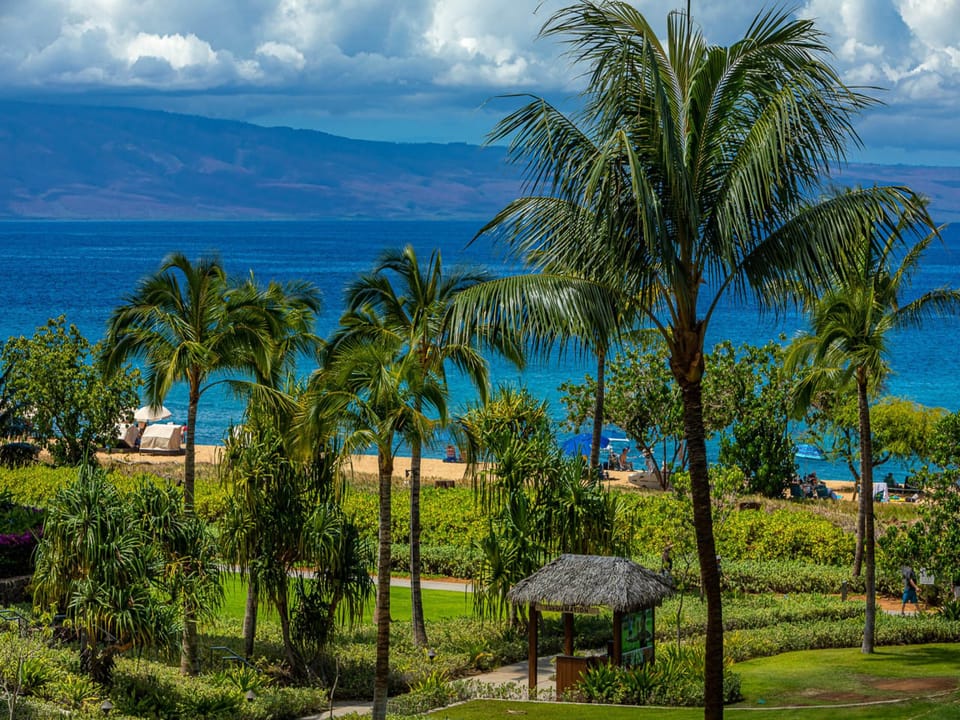 Aloha state of mind
