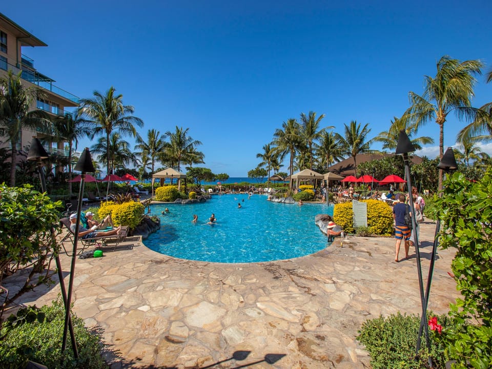 Discover three spectacular pools surrounded by lush palms and ocean views, offering the perfect setting for relaxation and fun under endless blue skies.