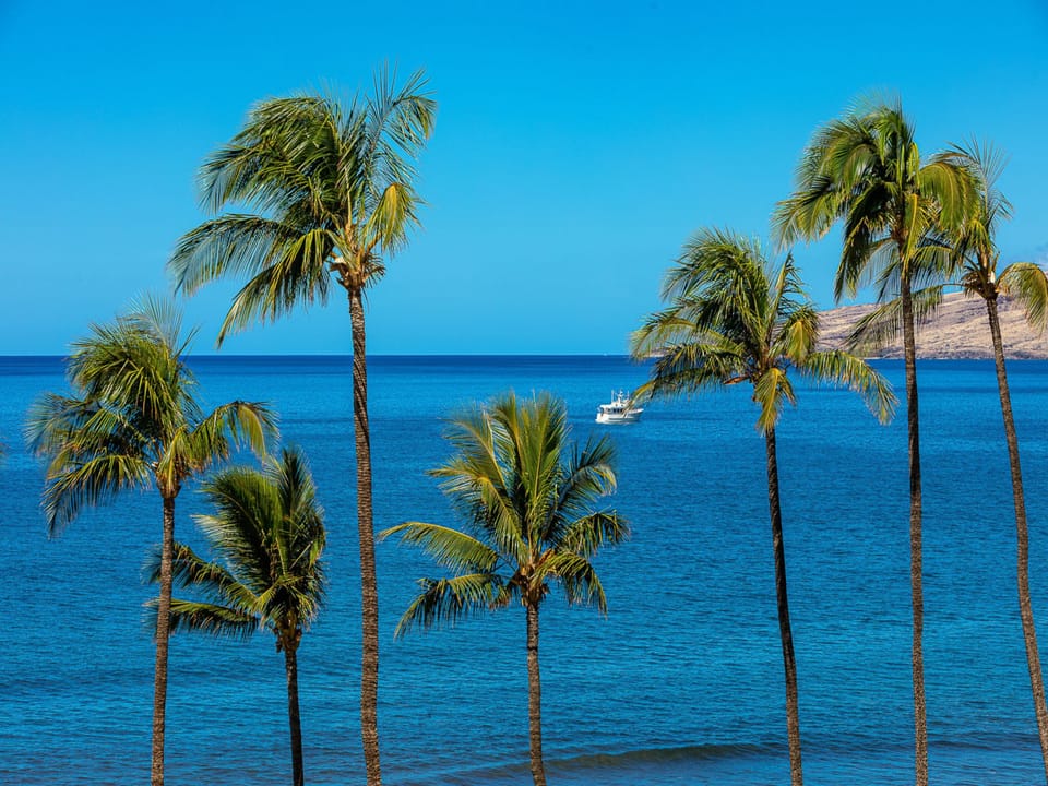 Tropical