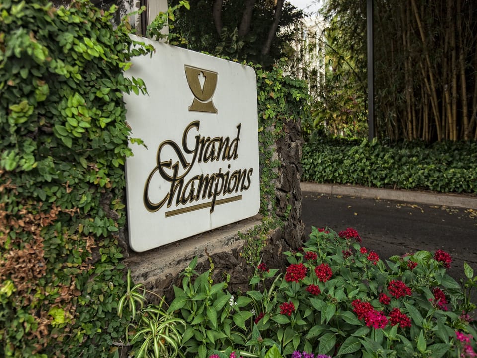 Wailea Grand Champions!